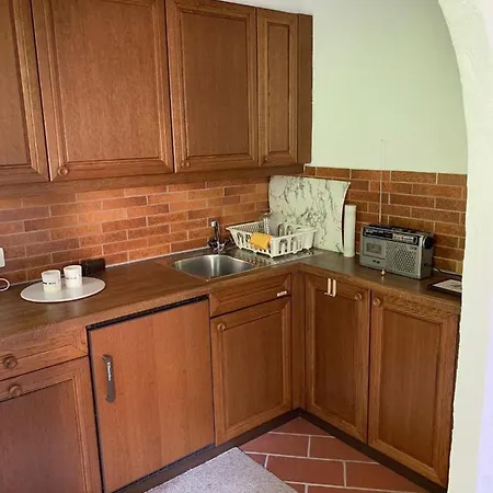 Caslano: 2.5 Zi-dachwohnung Im Rustikalen-modernen Stil * Caslano